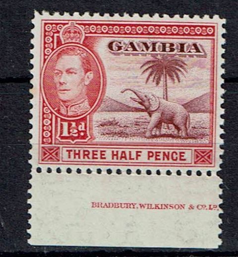 Image of Gambia SG 152 UMM British Commonwealth Stamp